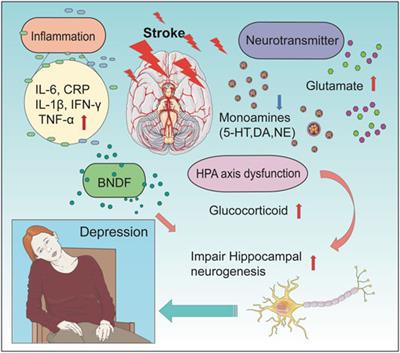 Natural Products for the Treatment of Post-stroke Depression